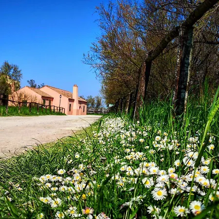 Residenza La Gallinella 3* コマッキオ