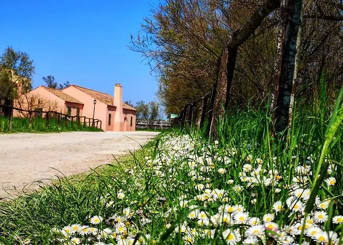 Residenza La Gallinella 3* 科马基奥