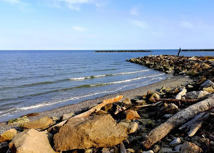 Residenza La Gallinella 3* コマッキオ