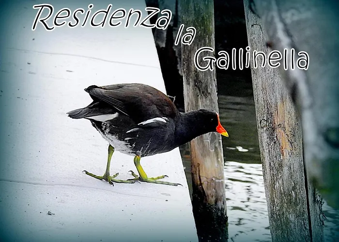 Frühstückspension Residenza La Gallinella Comacchio